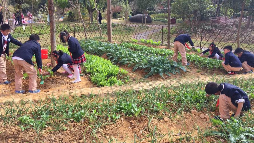 《园艺植物栽培学》实践教学质量改革研究