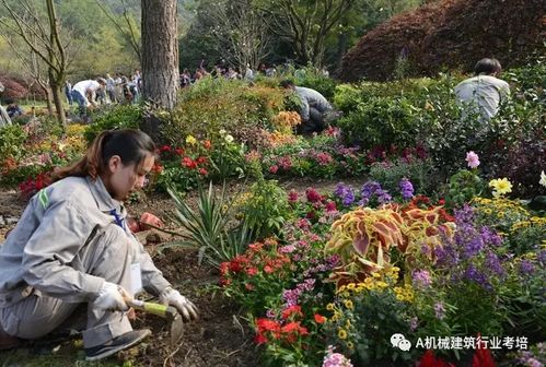 考个园艺师证怎么报名考取一个需要多长时间费用多少