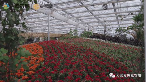 全面展现乡村振兴的 开封模式