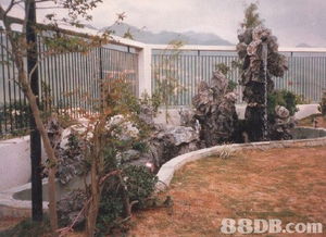 永霖花园提供多种园艺设计及保养物料 花盆 花瓶等服务