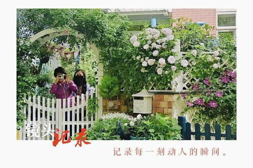 10年修1园,这个坐落在青岛的46平米小院,四季有景,繁而不乱,成了朋友们眼里的 诗和远方 院子