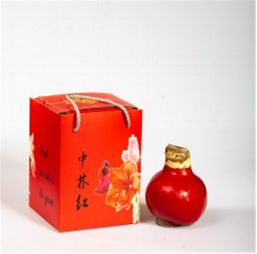 年宵园艺新品花卉 中林红 朱顶红蜡球