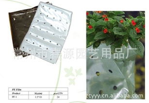 常州市春源园艺用品厂