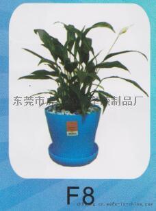 花盘,塑胶花盘,种植盘子,创意花盘,环保花盘图片,花盘,塑胶花盘,种植盘子,创意花盘,环保花盘高清图片 东莞市虎门沁意塑胶制品厂,