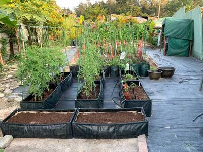 长方形美植袋阳台种菜种蔬菜种植袋 推荐