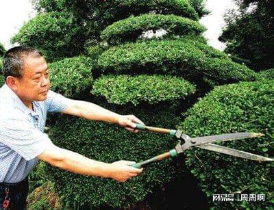 自己报名考园艺师证考什么内容报名详情你知道吗