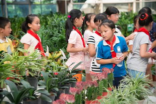 温州12处青创农场参评省级示范 快来看看哪个最有特色