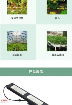 承越植物工厂种植灯生产厂家led植物生长灯厂家药材种植补光灯