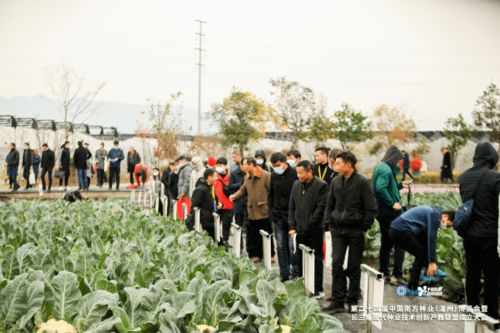 第24届中国南方种业 温州 博览会 暨长三角现代种业技术创新产教联盟成立大会举行