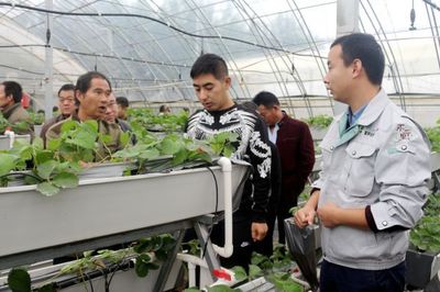 荷兰生物技术西北首秀 引领现代农业发展方向