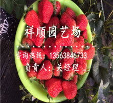 高清图片