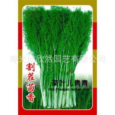 家庭种菜版块——【叶菜类】 家庭菜园蔬菜种子 割茬茴香种子 耐寒品种 四季栽种 可多次收获~图片|家庭种菜版块——【叶菜类】 家庭菜园蔬菜种子 割茬茴香种子 耐寒品种 四季栽种 可多次收获~产品图片由寿光欣欣然园艺公司生产提供-