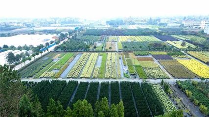 介质科普 | 关于泥炭我们想告诉你更多