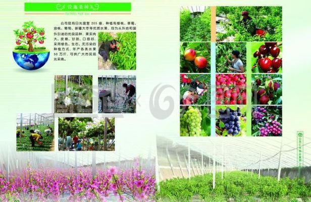 企业农产品画册图片