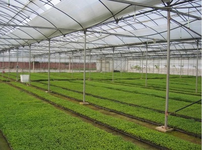 江苏省农委部署今年再建100个省级园艺作物标准园 助力花卉种植产业高质量发展
