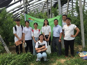 科技赋能果树安全种植，亳院学子下乡惠民显担当——实践团再赴砀山县园艺场助力园艺产品种植